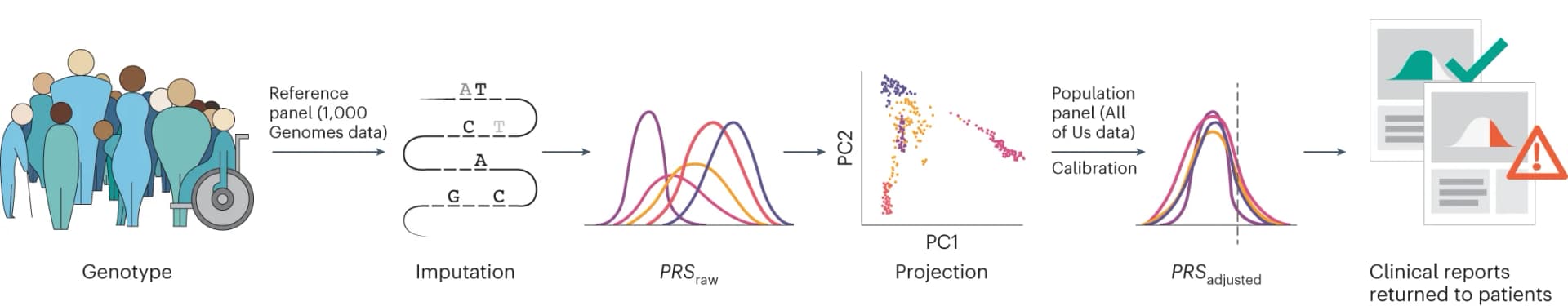 Open access visualization of Workflow, Scatter Plot, Density Plot, eMERGE PRS Process, DNA Genotyping