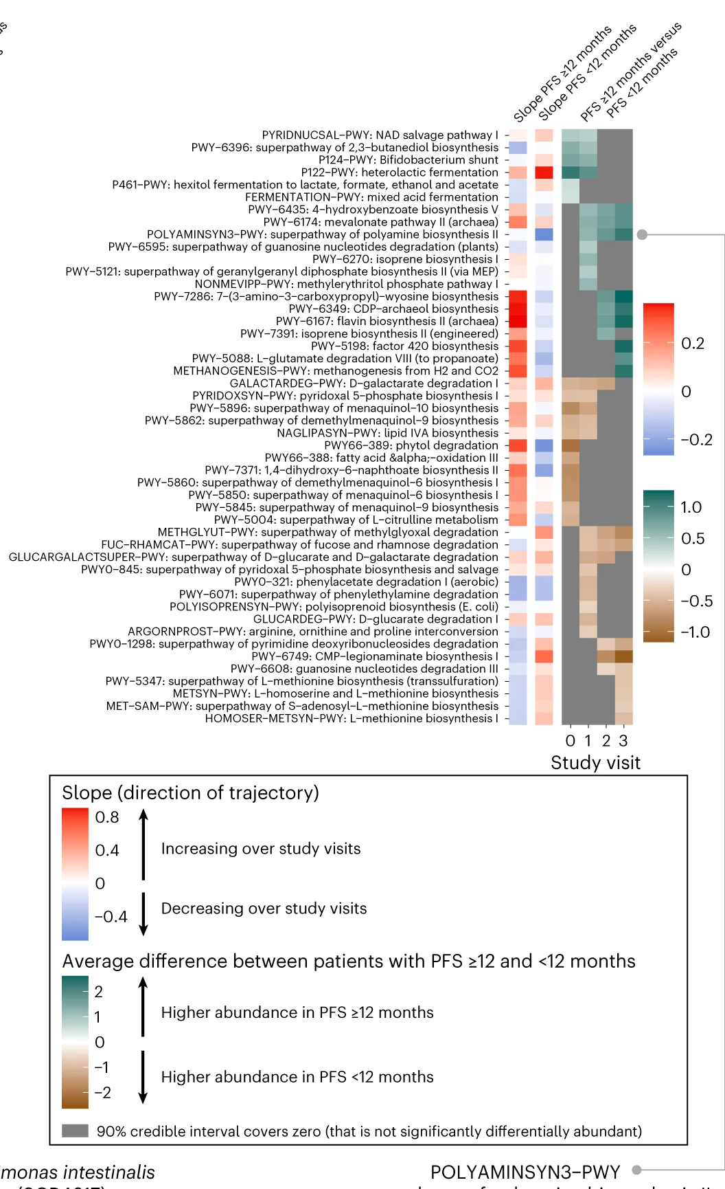 Open access visualization of Heatmap, Microbial Pathways, PFS, Patient Samples, Study Visits