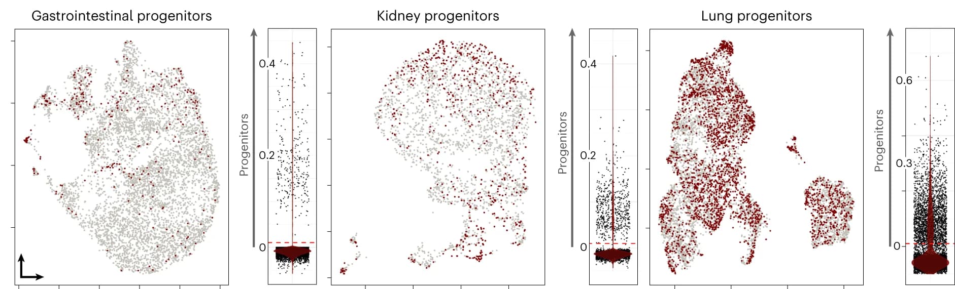 Open access visualization of Scatter Plot, Violin Plot, Cell Scoring, Progenitor-Associated Genes, Recalculated UMAP