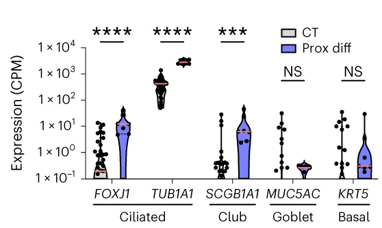 Open access visualization of Violin Plot, Scatter Plot, Gene Expression, Proximal Airway Markers, FOXJ1