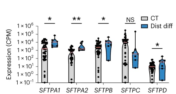 Open access visualization of Violin Plot, Box Plot, Surfactant-related Gene Expression, Distalized LAFOs, RNA-seq