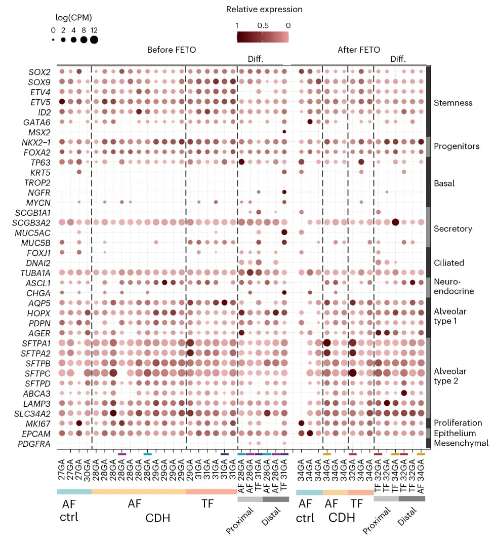 Open access visualization of Bubble Plot, Scatter Plot, Immunofluorescent Staining, CT AF, CDH AF