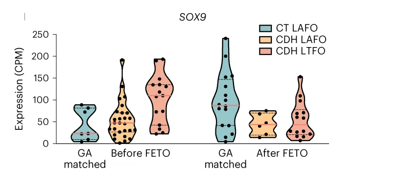 Open access visualization of Violin Plot, Scatter Plot, Violin Plots, SOX9 Expression, FETO