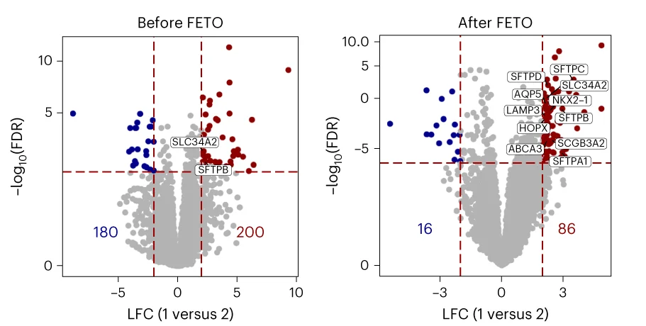 Open access visualization of Volcano Plot, Scatter Plot, Volcano Plots, DEGs, CDH Organoids