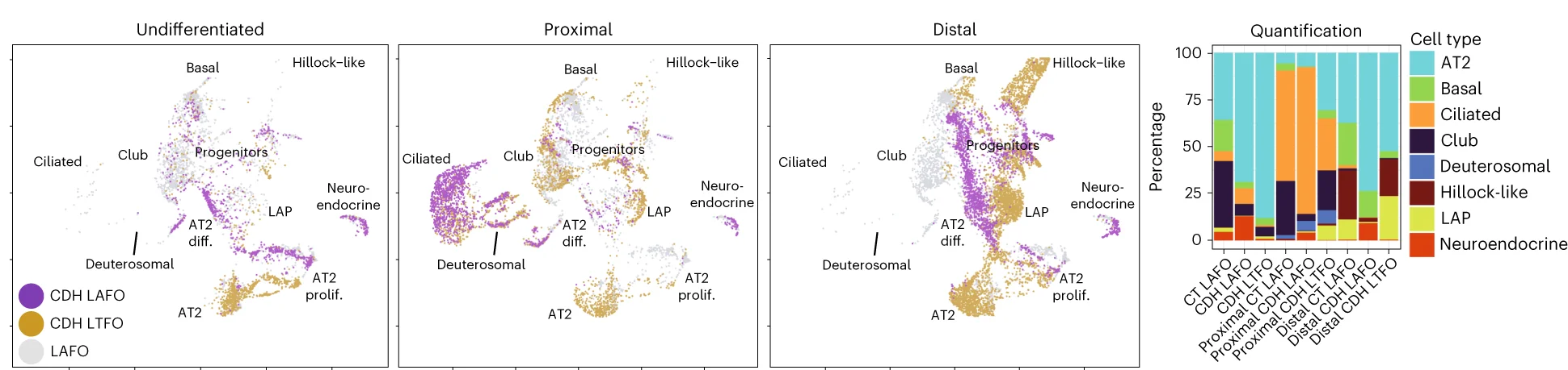 Open access visualization of Scatter Plot, Stacked Bar Plot, scRNA-seq UMAPs, CDH LAFOs, CDH LTFOs