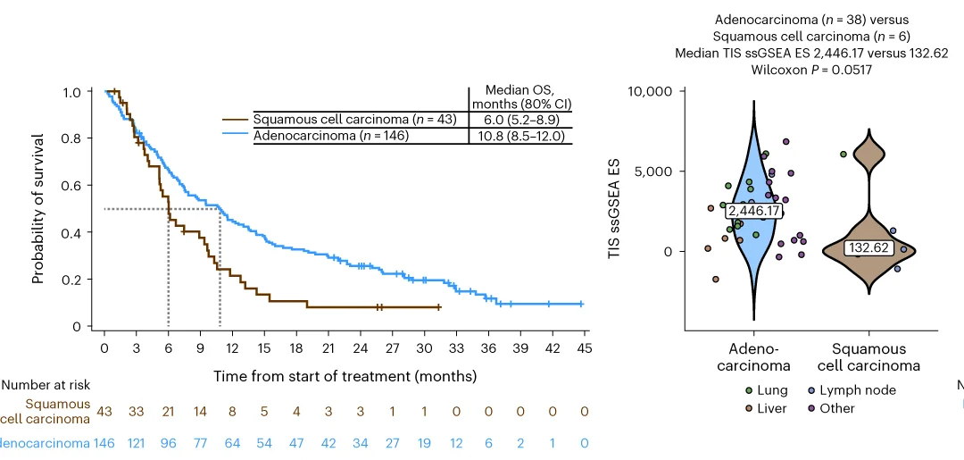 Open access visualization of Survival Curve, Violin Plot, Scatter Plot, Kaplan-Meier Distributions, Overall Survival