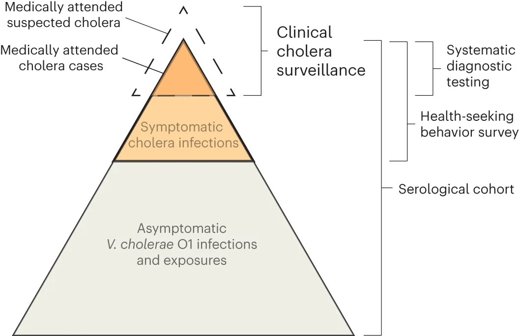 Open access visualization of Illustration, Workflow, Cholera, Surveillance, Diagnostic Testing
