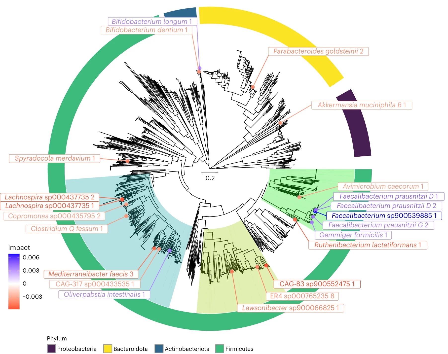 Open access visualization of Network, Pathway, Phylogenetic Tree, Bacterial Strains, Reference Library