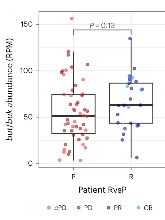 Open access visualization of Box Plot, Scatter Plot, Raincloud Plot, Boxplots, Enzyme Abundance