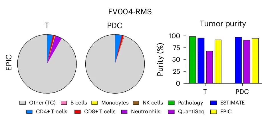 Open access visualization of Pie Chart, Bar Plot, Immune Cell Type Deconvolution, Tumor Purity Analysis, Tumor Tissue