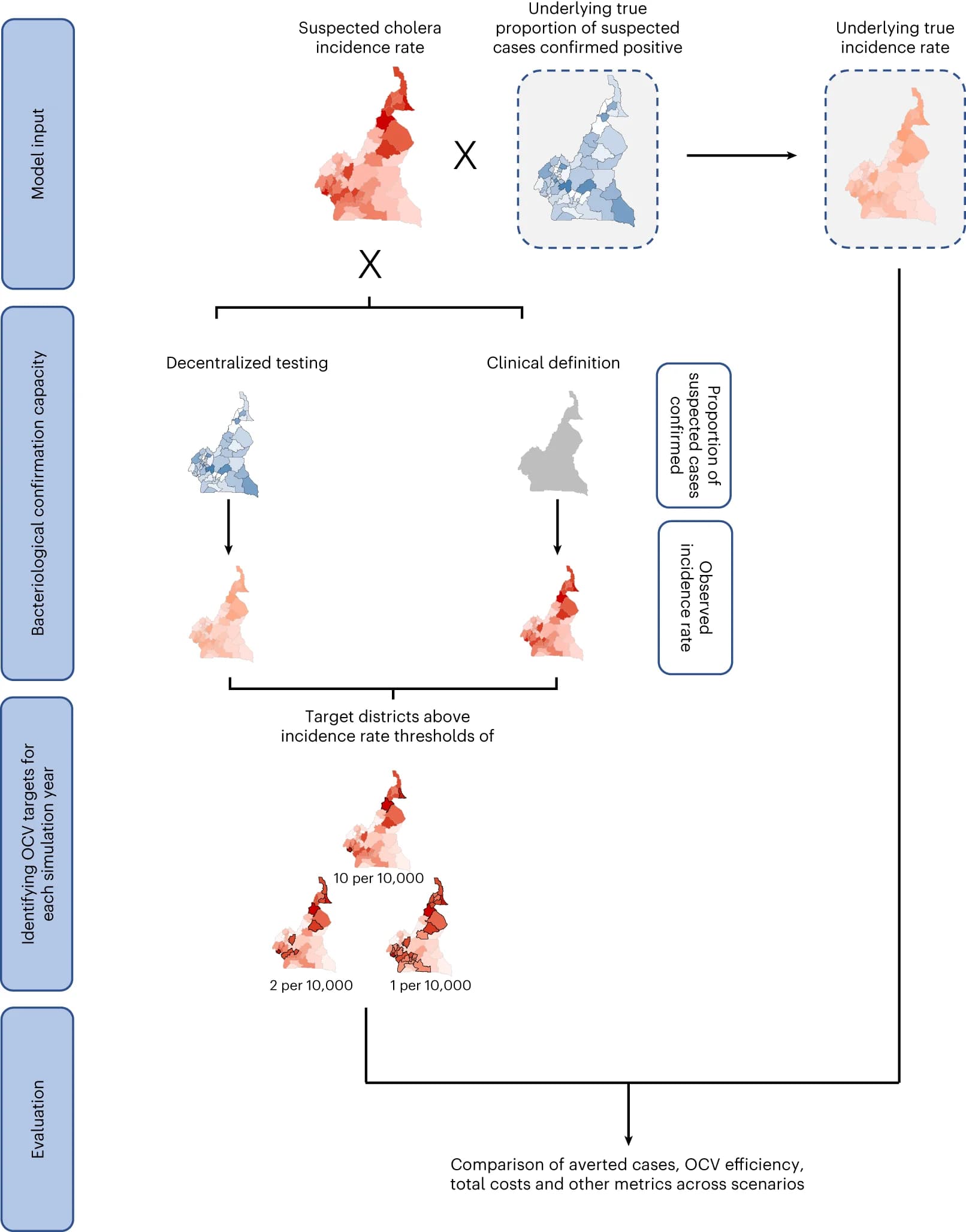 Open access visualization of Workflow, Geo Map, Cholera Incidence, Incidence Rate Maps, True Positivity