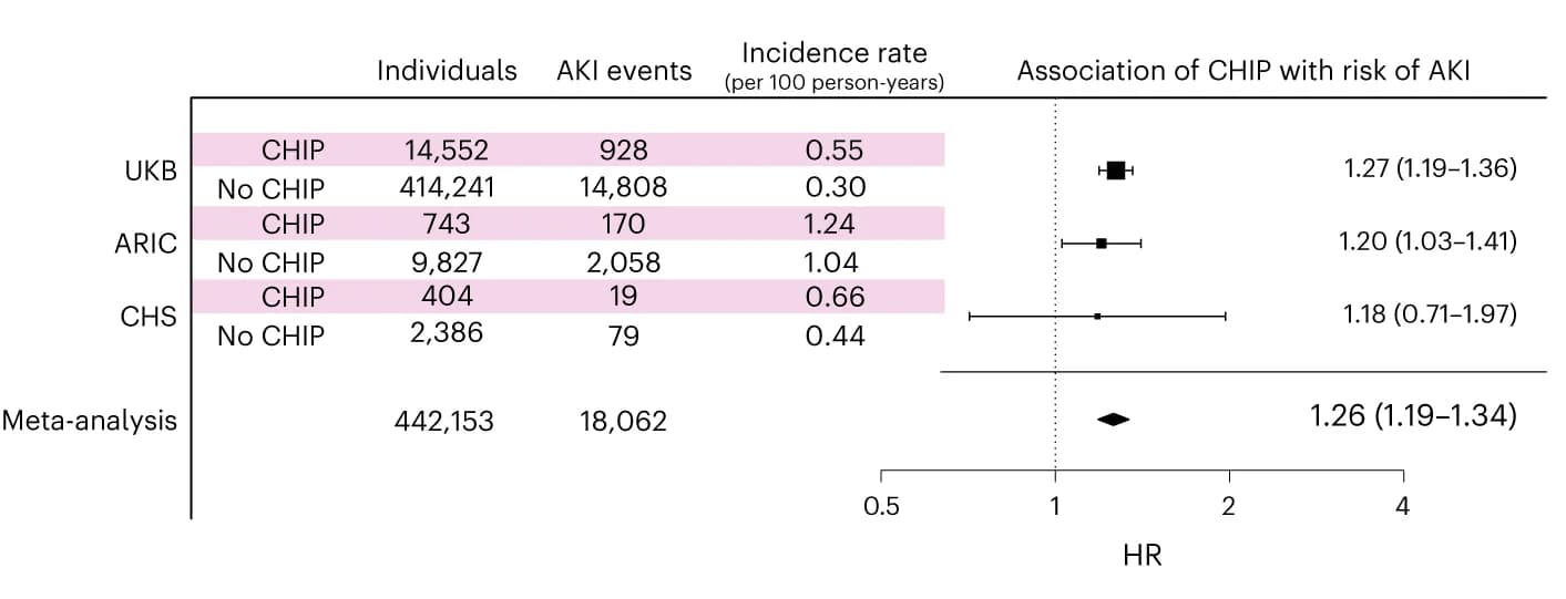 Open access visualization of Forest Plot, CHIP, AKI, UKB, ARIC