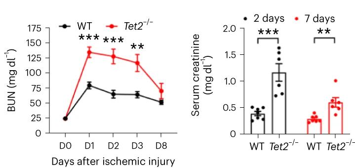 Open access visualization of Line Plot, Error Bars, Bar Plot, Scatter Plot, Blood Urea Nitrogen