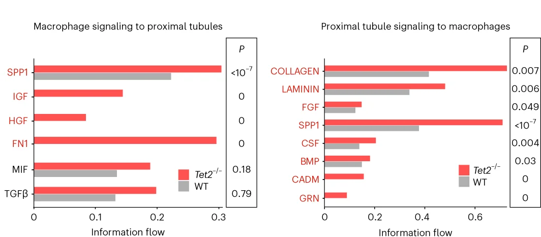 Open access visualization of Bar Plot, Clustered, CellChat Analyses, Cell-Cell Communication, Macrophages