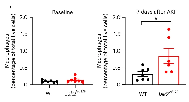 Open access visualization of Scatter Plot, Error Bars, Kidney Macrophages, Flow Cytometry, WT Mice