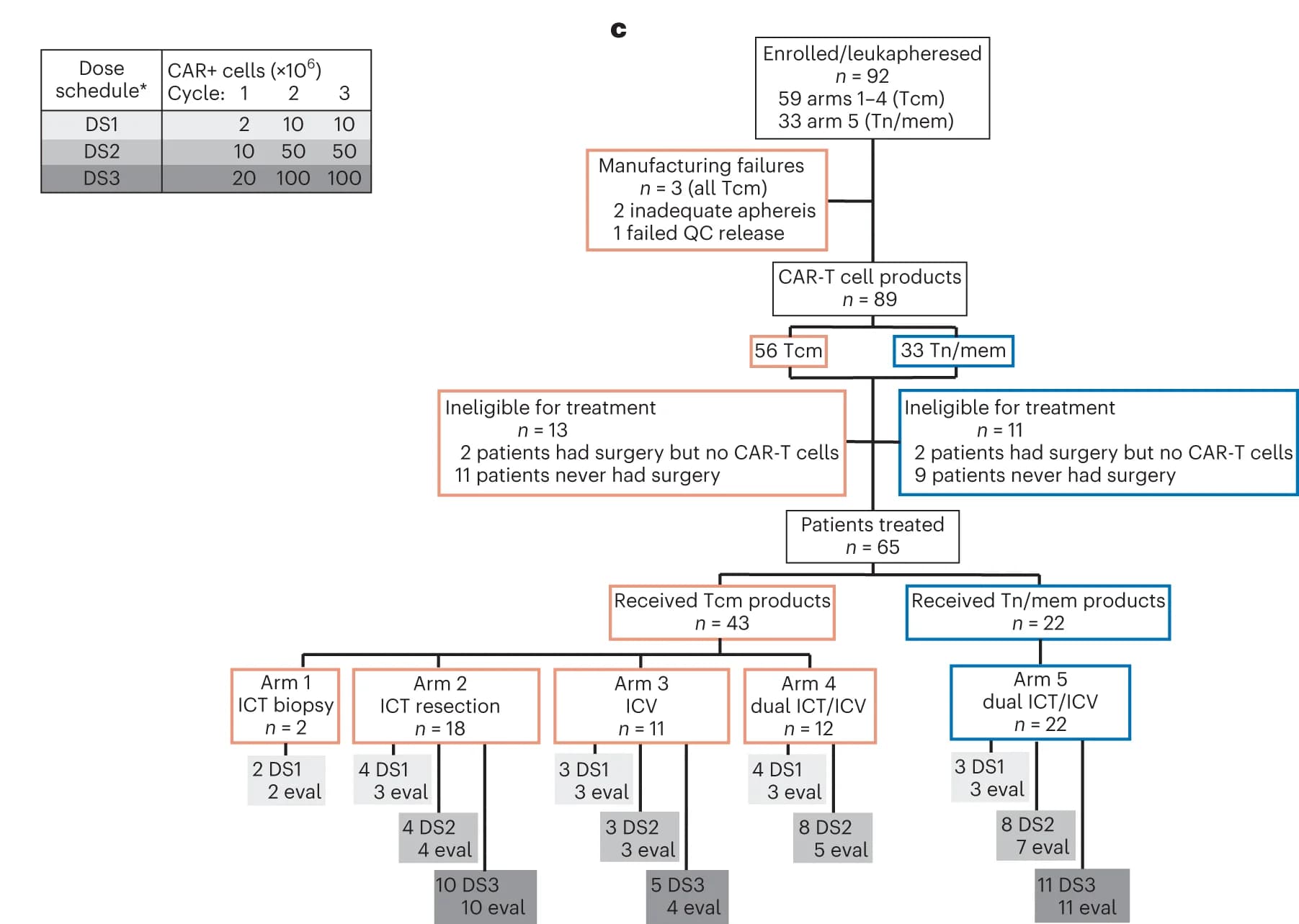 Open access visualization of Workflow, Table Image, Dose Escalation Schedules, ICT, ICV