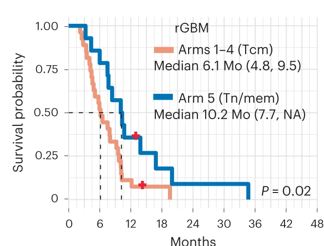 Open access visualization of Line Step, Survival Curve, Survival Comparison, rGBM Patients, Tcm-Derived Cell Products