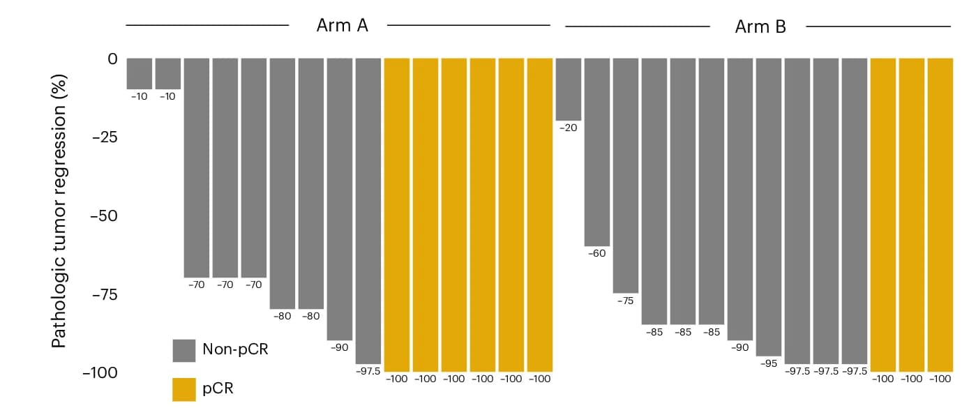 Open access visualization of Bar Plot, Waterfall Plot, Pathological Tumor Regression, Viable Tumor, Patients