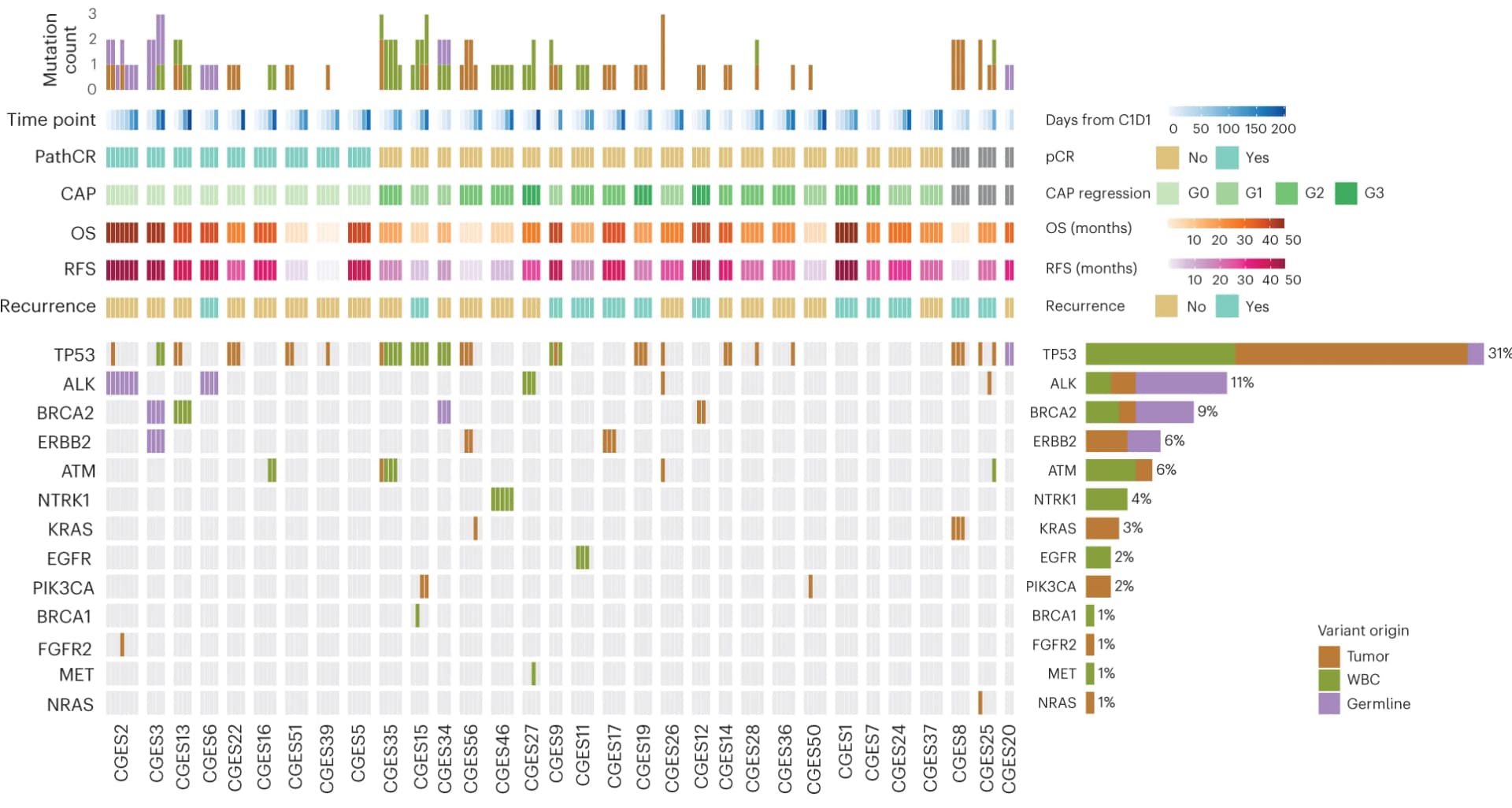 Open access visualization of Bar Plot, Stacked Bar Plot, Variants, Genes, Mutations
