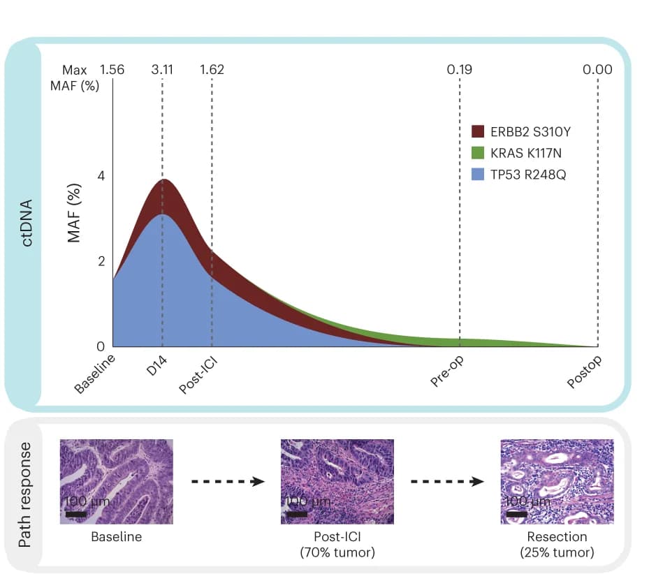 Open access visualization of Line Plot, Photo, Microscopy, Patient, ctDNA