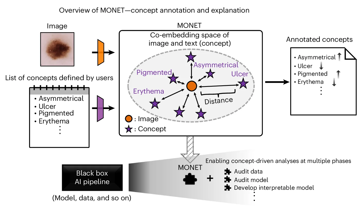 Open access visualization of Workflow, Illustration, Automatic Concept Annotation, Medical Concepts, Joint Representation Space