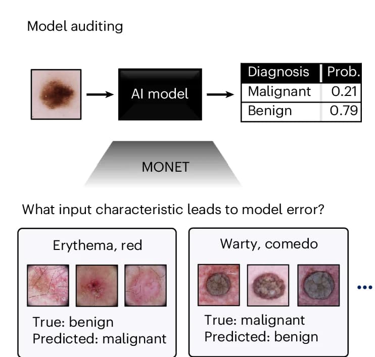 Open access visualization of Workflow, Illustration, Table Image, Photo, Concept-Level Model Auditing