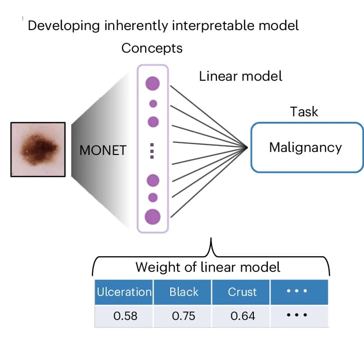 Open access visualization of Workflow, Illustration, Table Image, Interpretable Models, Medical AI Models