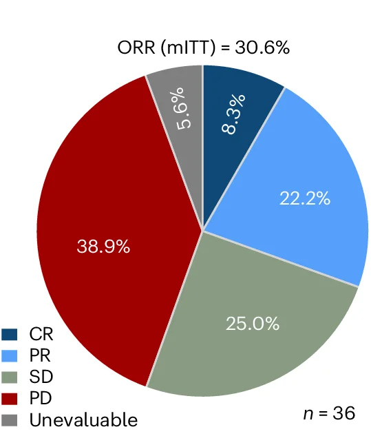 Open access visualization of Pie Chart, ORR, CR, PR, SD