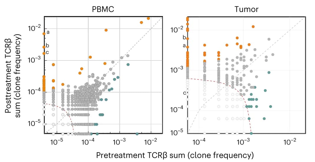 Open access visualization of Scatter Plot, TCRseq, RNAseq, T Cell Clones, PBMCs