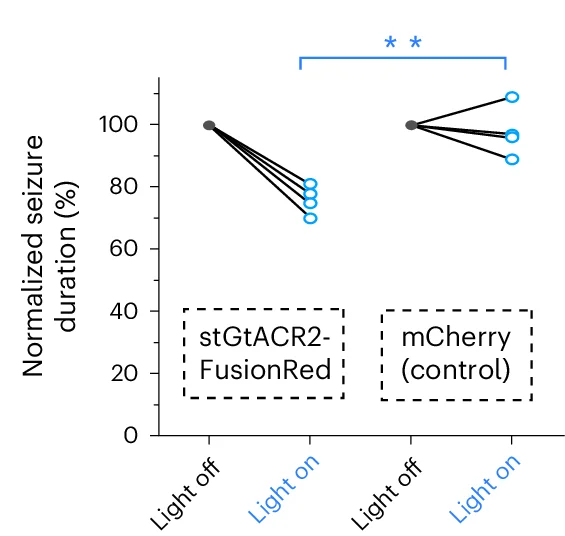 Open access visualization of Line Plot, Scatter Plot, Normalized Seizure Duration, Light Delivery, Mice