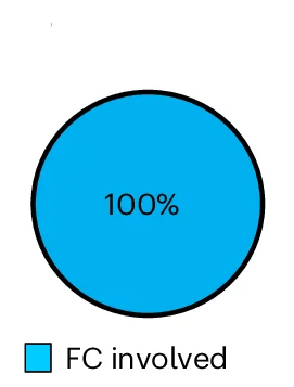 Open access visualization of Donut Chart, Seizures, FC Involvement