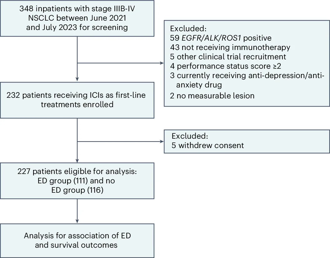 Open access visualization of Workflow, Flowchart, Kaplan-Meier Survival Estimates, Overall Survival, Anti-PD-1 Cohort