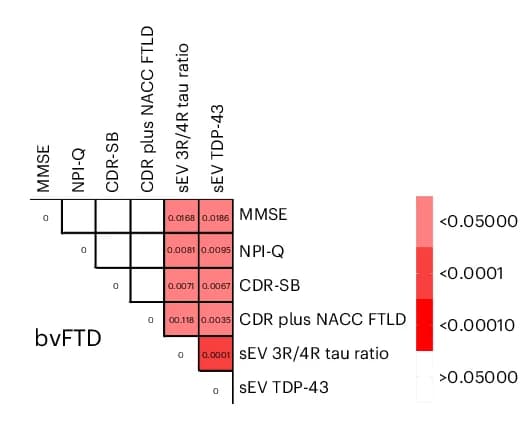 Open access visualization of Heatmap, Correlation Matrix, Spearman Correlations, bvFTD, P Values