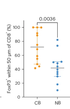 Open access visualization of Scatter Plot, CD8+ T Cells, Dysfunctional CD8+ T Cells, FoxP3+ Cells, Tumor Microenvironment