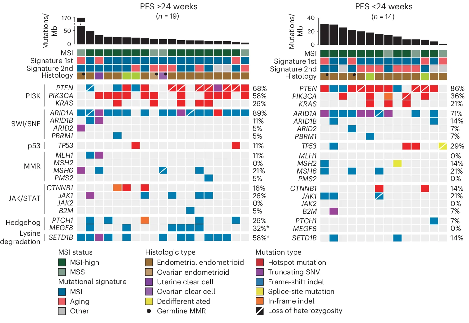 Open access visualization of Bar Plot, Heatmap, TMB, MSIsensor Score, Mutational Signatures