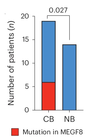 Open access visualization of Stacked Bar Plot, Bar Plot, MEGF8, Mutations, Clinical Benefit