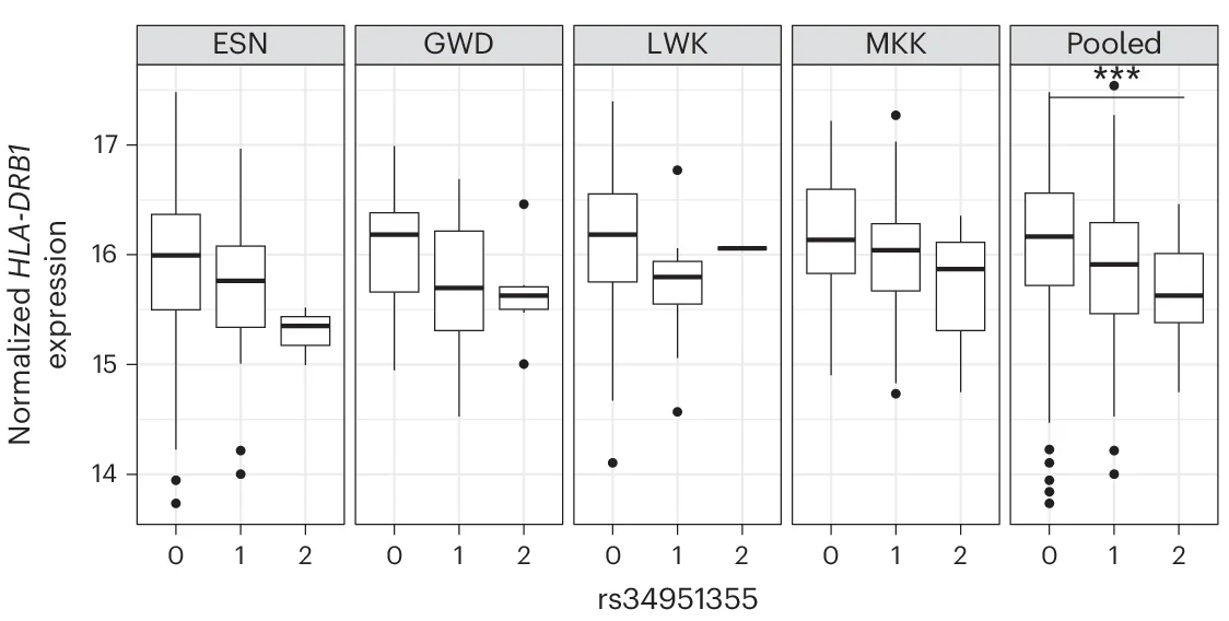 Open access visualization of Box Plot, Index Variant, DT Response, HLA-DRB1 Expression, LCLs