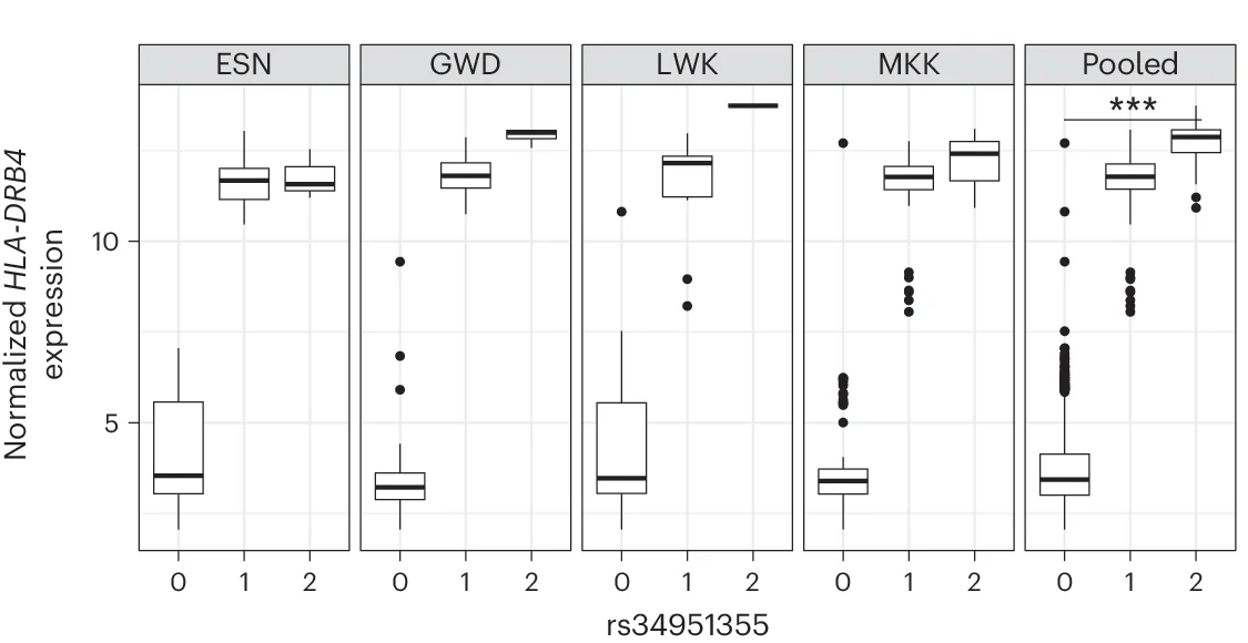 Open access visualization of Box Plot, Scatter Plot, HLA-DRB4 Expression, Index Variant, African Populations