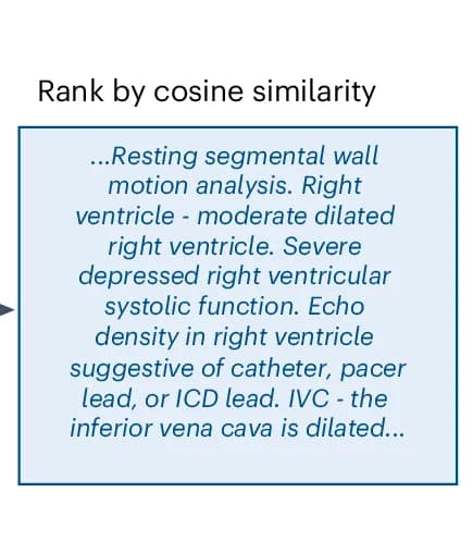Open access visualization of Illustration, Reports, Ranking, Image Embedding