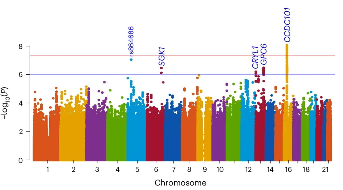 Open access visualization of Manhattan Plot, Genome-Wide Association Analysis, SNP, Chromosome Positions, P Values