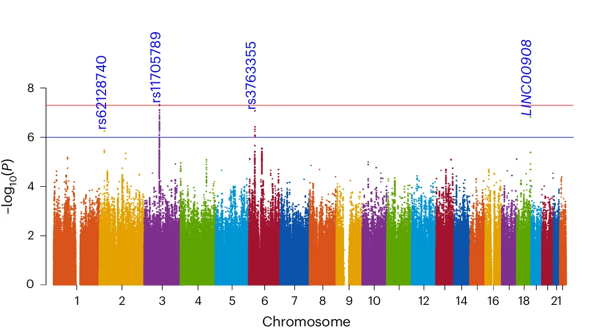 Open access visualization of Manhattan Plot, Genome-Wide Association Analysis, SNP, Chromosome, P Value