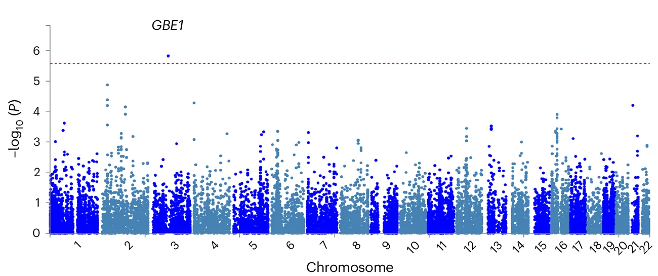 Open access visualization of Manhattan Plot, GWGBA Analysis, P Value, Gene, Chromosome