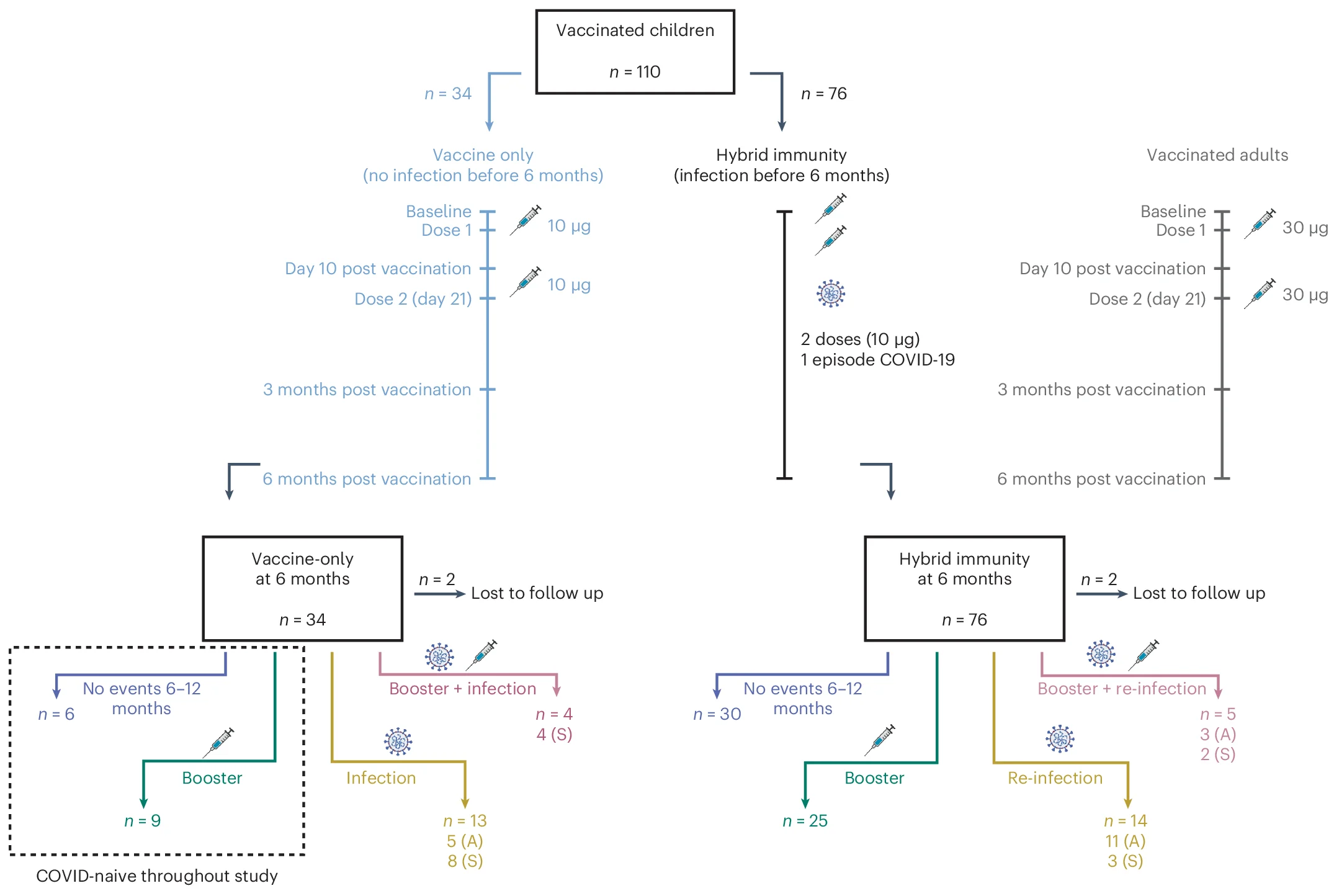 Open access visualization of Workflow, Flowchart, Study Schedule, Vaccine Efficacy, SARS-CoV-2