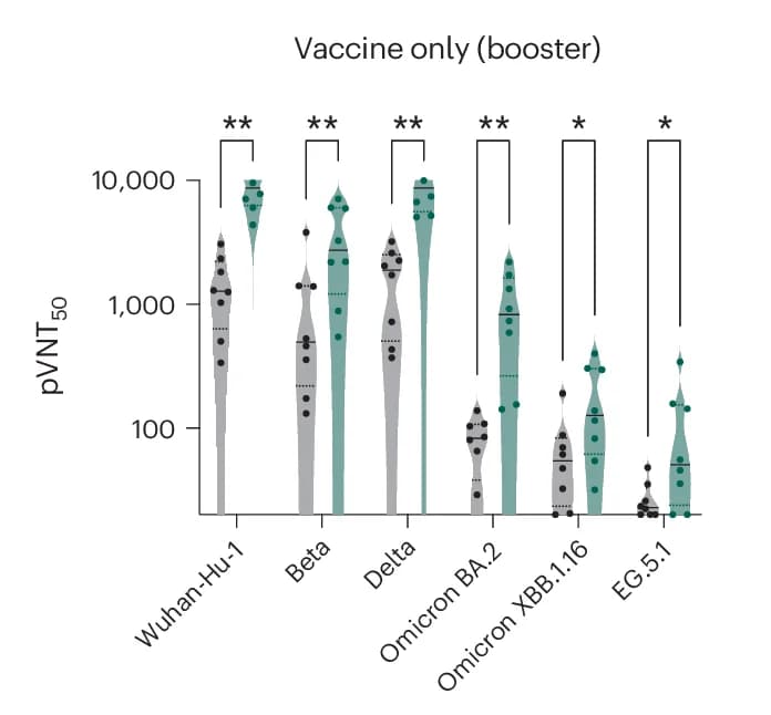 Open access visualization of Violin Plot, Antibody Titers, Neutralization, SARS-CoV-2, Variants of Concern