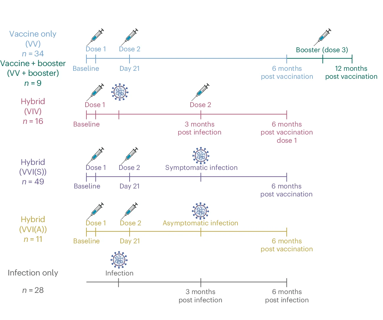 Open access visualization of Workflow, Children, Vaccination, Omicron Subvariants, SARS-CoV-2 Infection