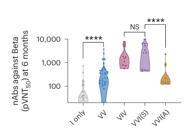 Open access visualization of Violin Plot, pVNT 50 Titers, SARS-CoV-2 Beta