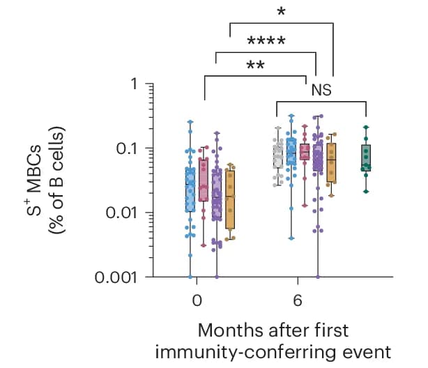 Open access visualization of Box Plot, Scatter Plot, S + MBCs, B Cells