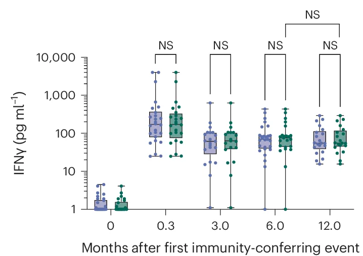 Open access visualization of Box Plot, Scatter Plot, S-Reactive T Cell Responses, IFNγ