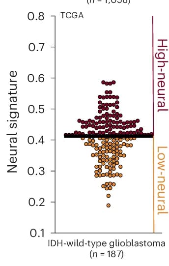 Open access visualization of Scatter Plot, External Validation, Cutoff Value, TCGA-GBM Dataset, Neural Score