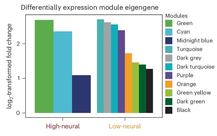 Open access visualization of Bar Plot, Clustered, Differential Gene Expression, Module Eigengenes, Glioblastoma